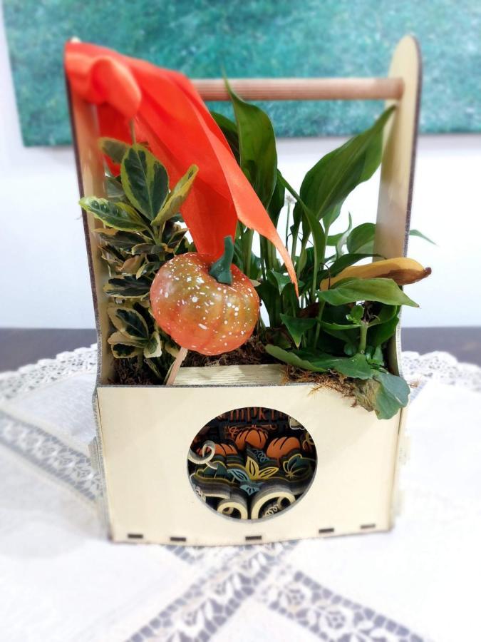Casa Calea Haiducilor Sohodol  ภายนอก รูปภาพ